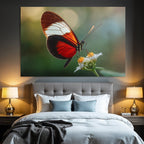 Schmetterling Auf Blume Naheaufnahme Vibrante Rot Schwarz Weiss