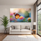 Schmetterling Auf Farbenfroher Blume