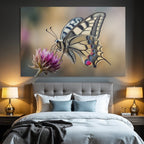 Schmetterling Blume Nahaufnahme