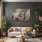 Schmetterling Blume Nahaufnahme