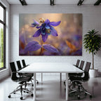 Schöne Violette Blume Mit Wassertropfen