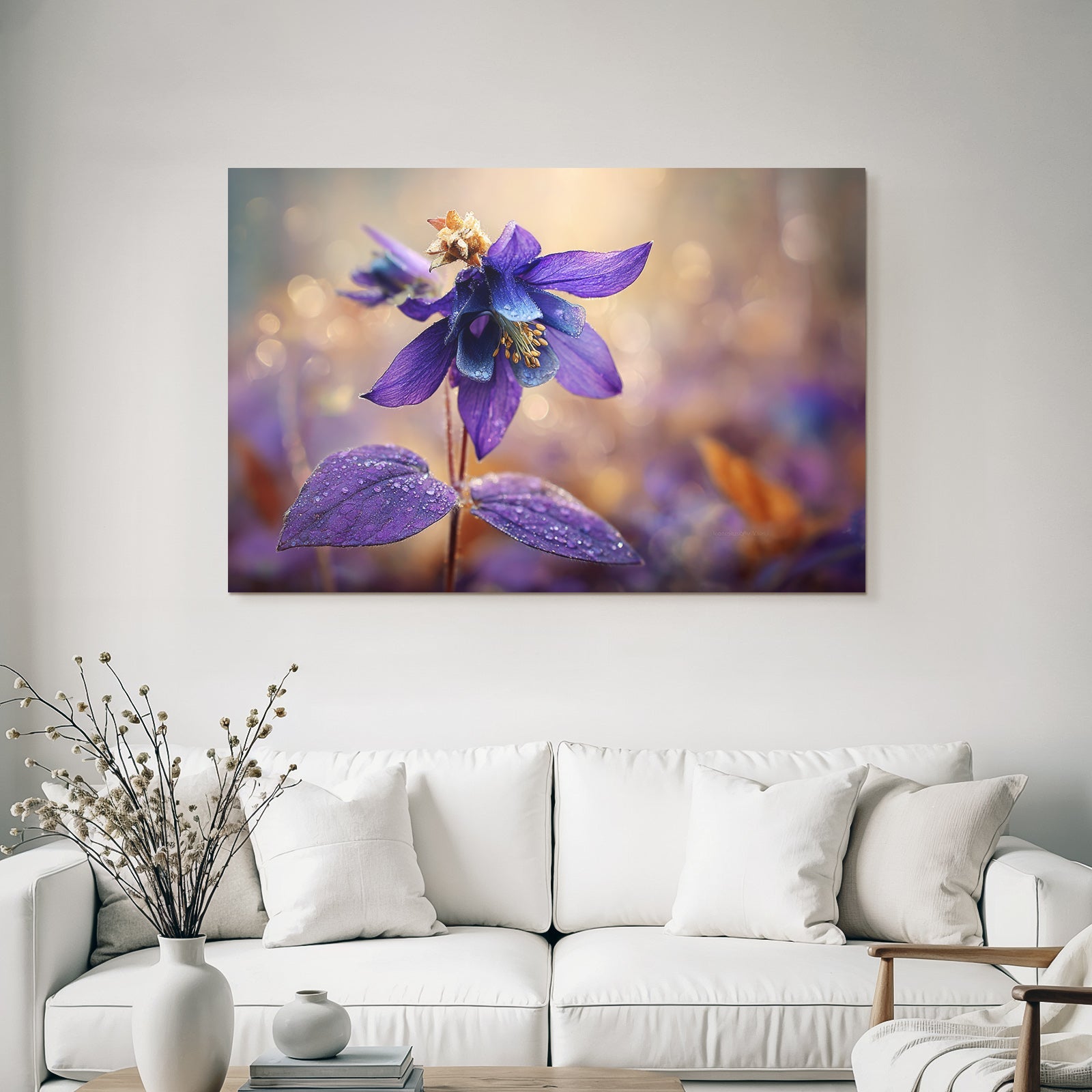 Schöne Violette Blume Mit Wassertropfen