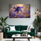 Schöne Violette Blume Mit Wassertropfen