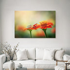 Zwei Frösche Auf Hellorangener Blume Traumhafter Hintergrund