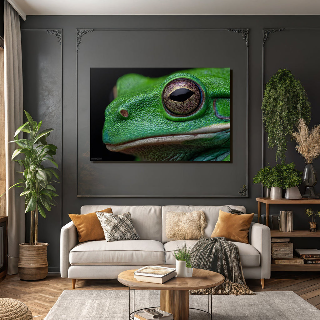 Nahaufnahme Einer Grünen Frosch Textur Und Augendetails