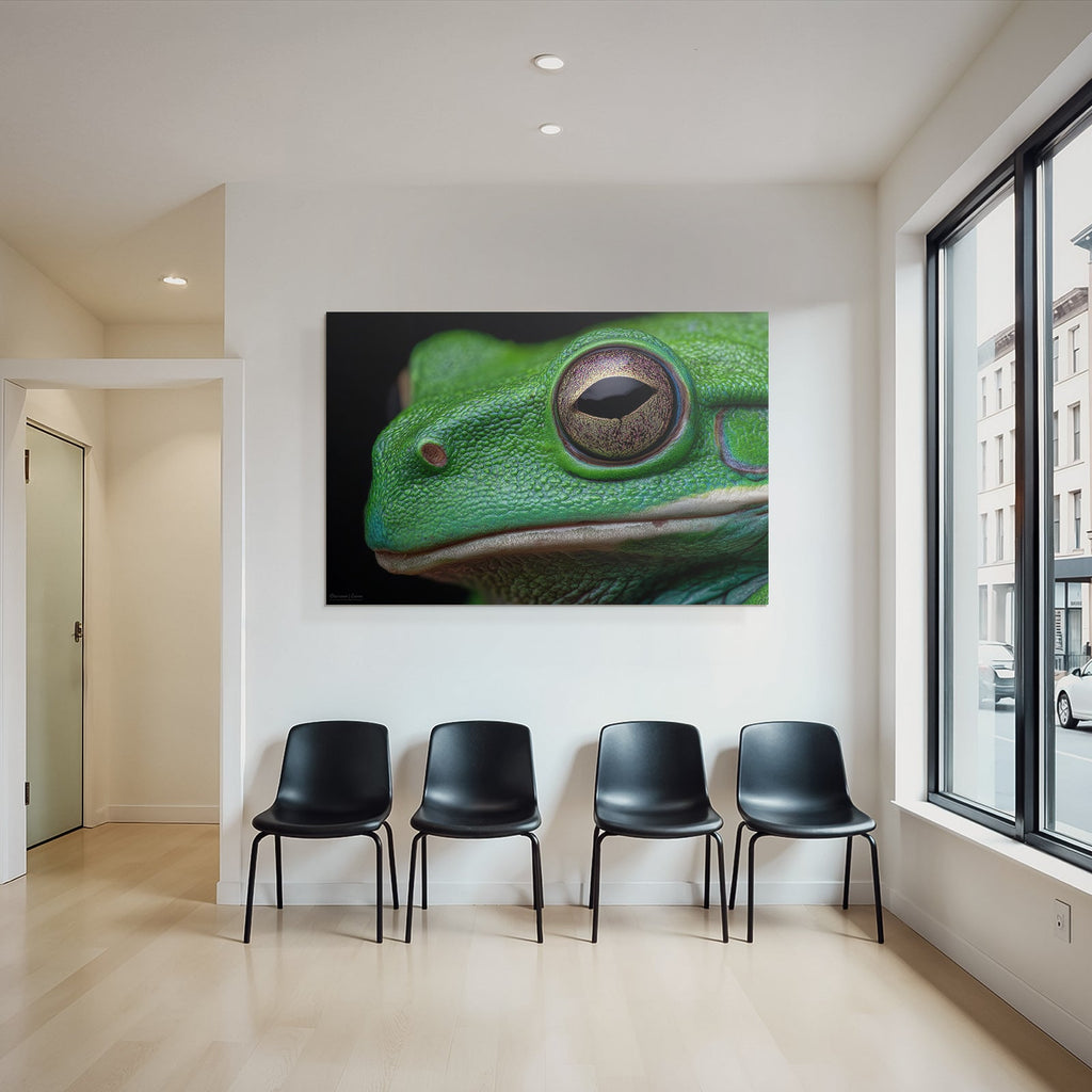 Nahaufnahme Einer Grünen Frosch Textur Und Augendetails