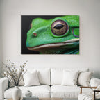 Nahaufnahme Einer Grünen Frosch Textur Und Augendetails