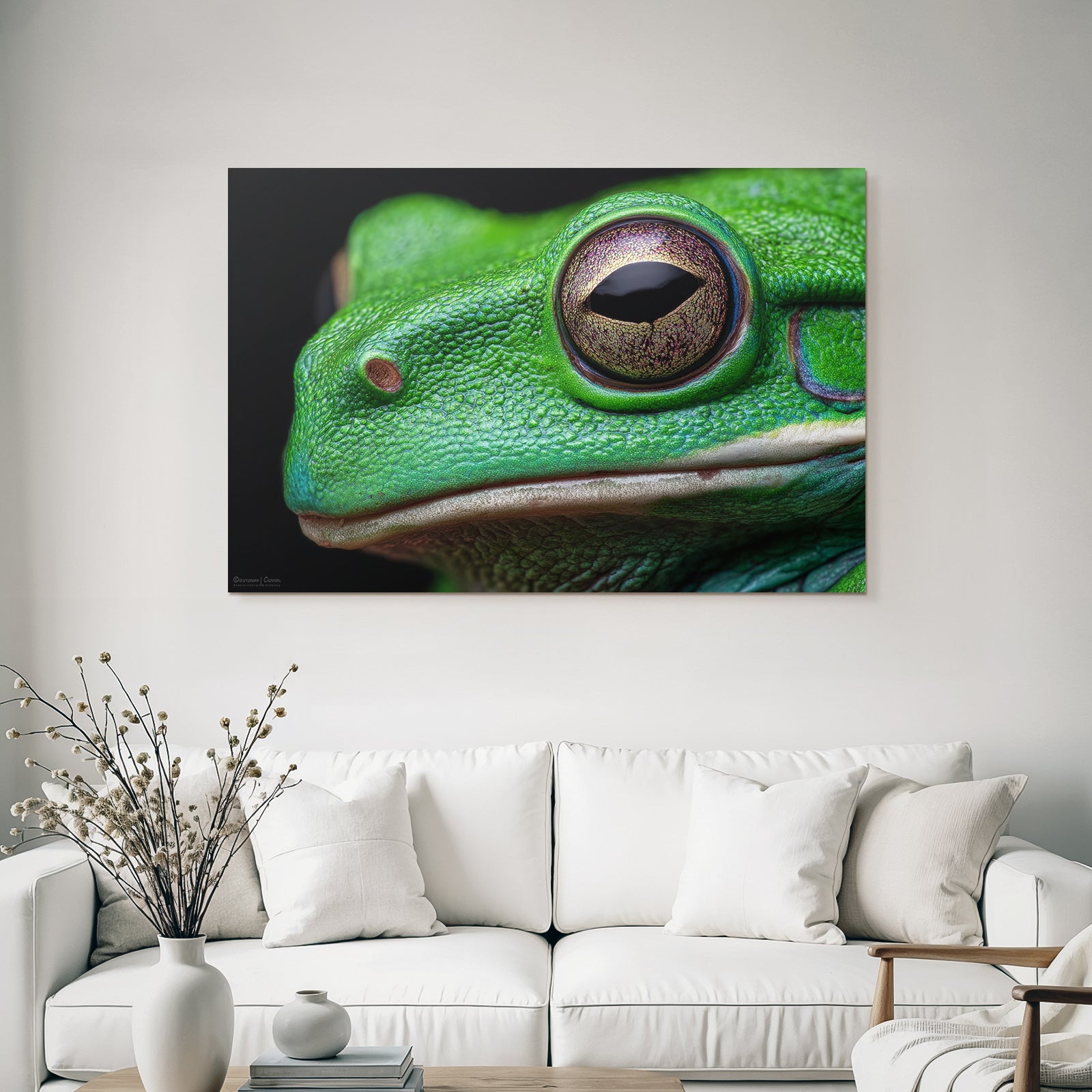 Nahaufnahme Einer Grünen Frosch Textur Und Augendetails