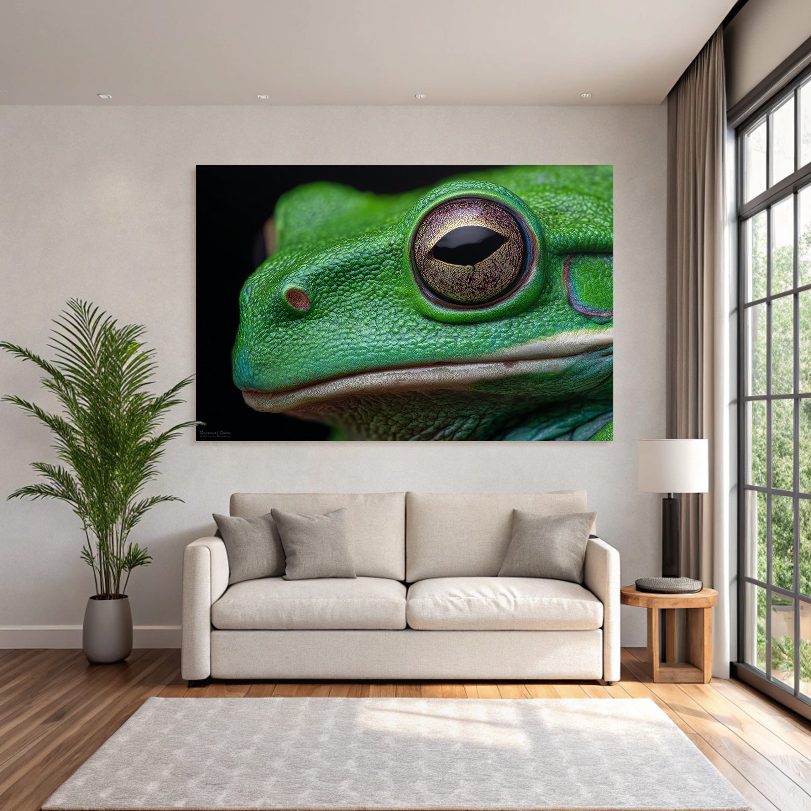 Nahaufnahme Einer Grünen Frosch Textur Und Augendetails