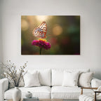 Schmetterling Auf Blume Goldene Stunde Unscharfer Hintergrund