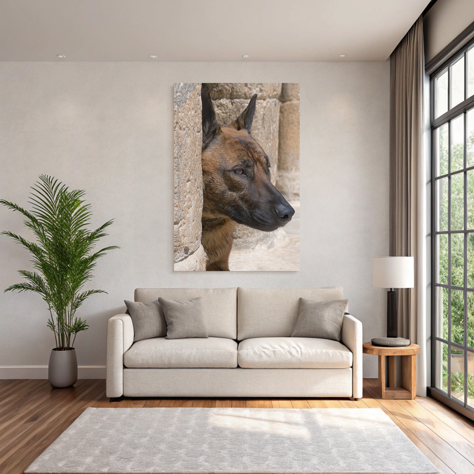 Belgischer Malinois Kopf Nahe Stone Surface Architektur