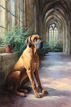 Grosser Dog Im Sonnigen Architektonischen Innenraum Mit Bogen Und Pflanzen | Katzen und Hunde | Tiere