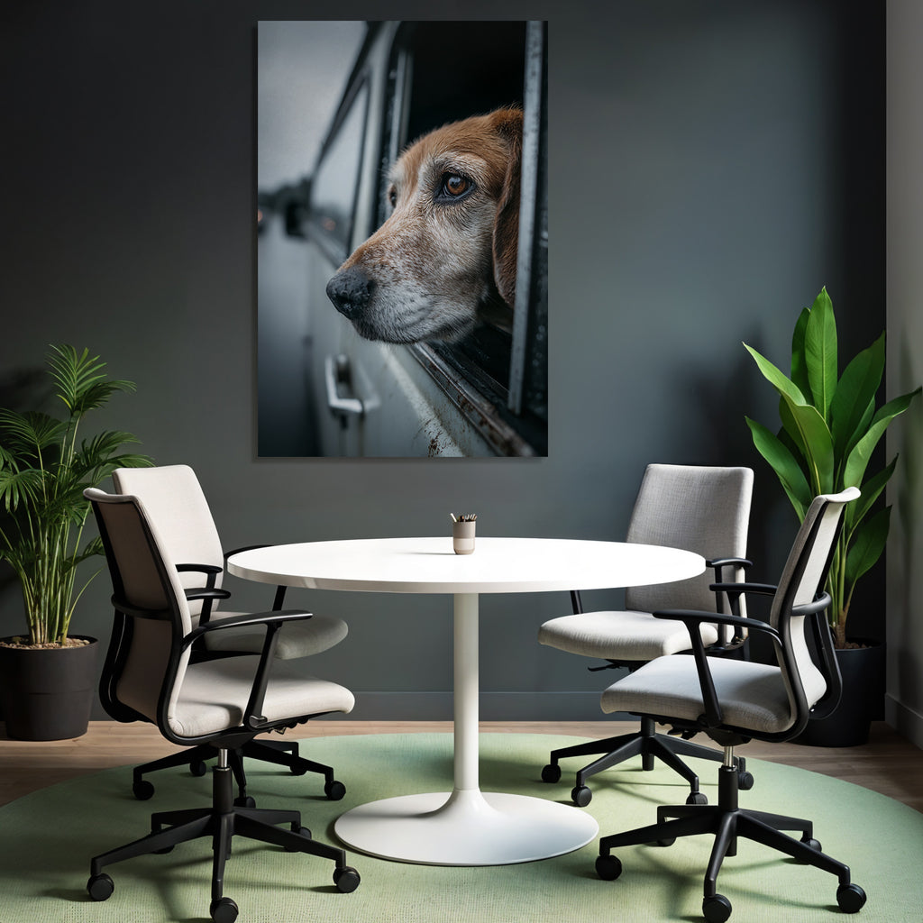 Hund Im Autofenster Regnerischer Tag
