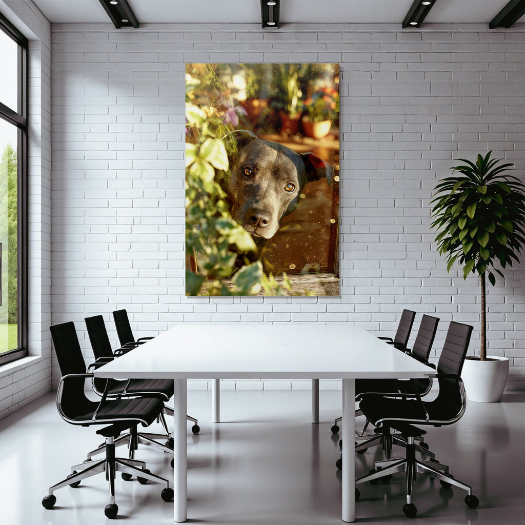 Hund Peeking Durch Fenster Umgeben Von Grünen Pflanzen Warmes Licht