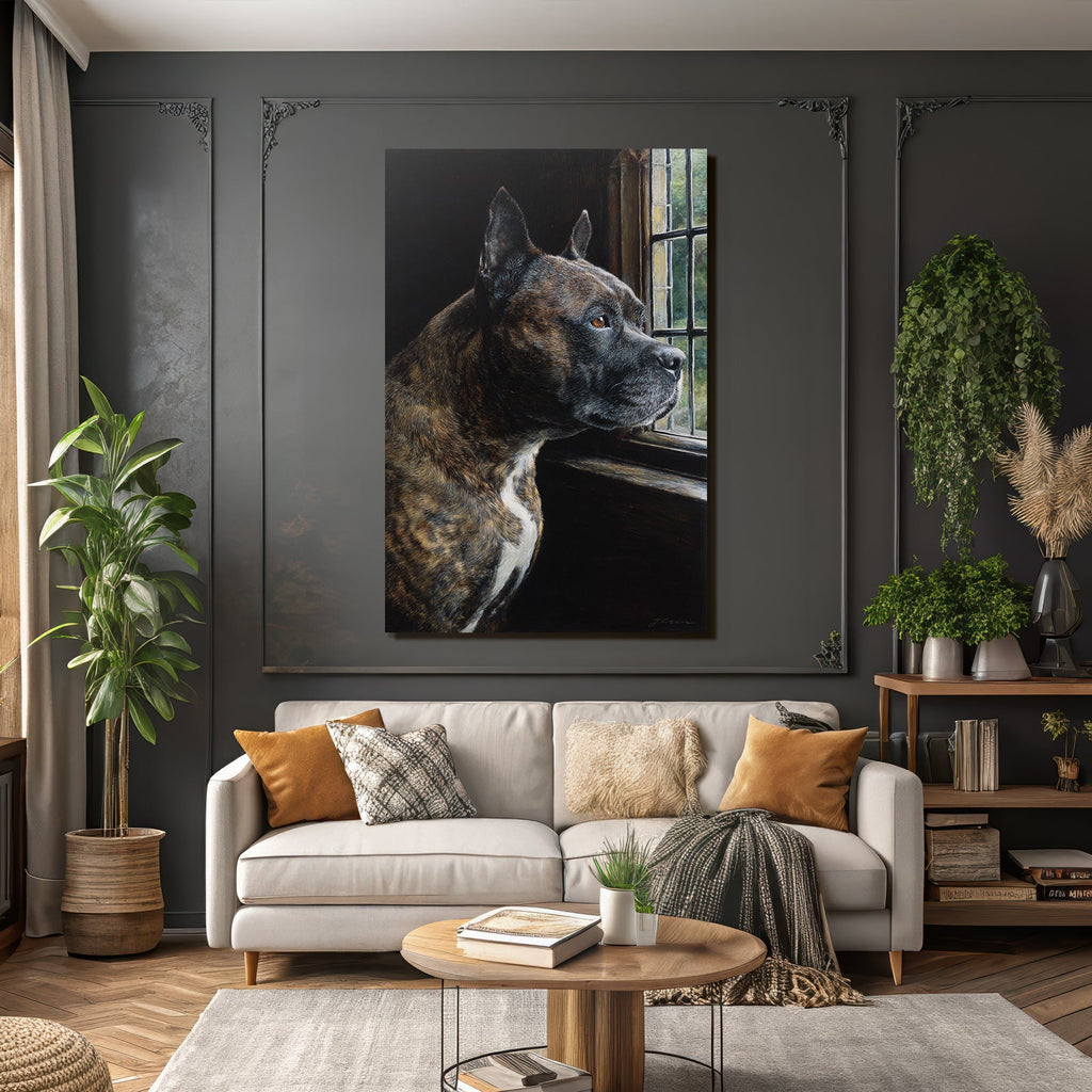 Hund Portrait Im Profil Vor Dem Fenster Schaut Draussen
