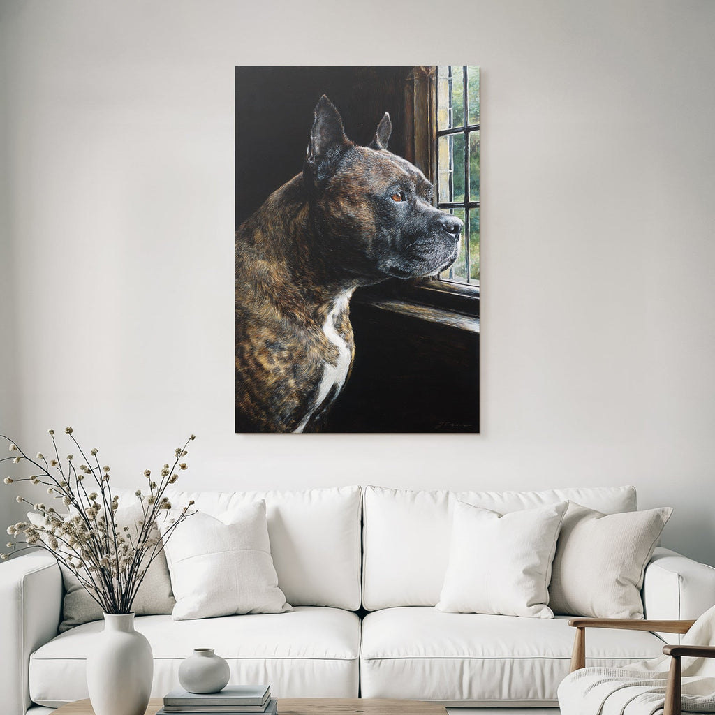Hund Portrait Im Profil Vor Dem Fenster Schaut Draussen