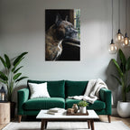 Hund Portrait Im Profil Vor Dem Fenster Schaut Draussen