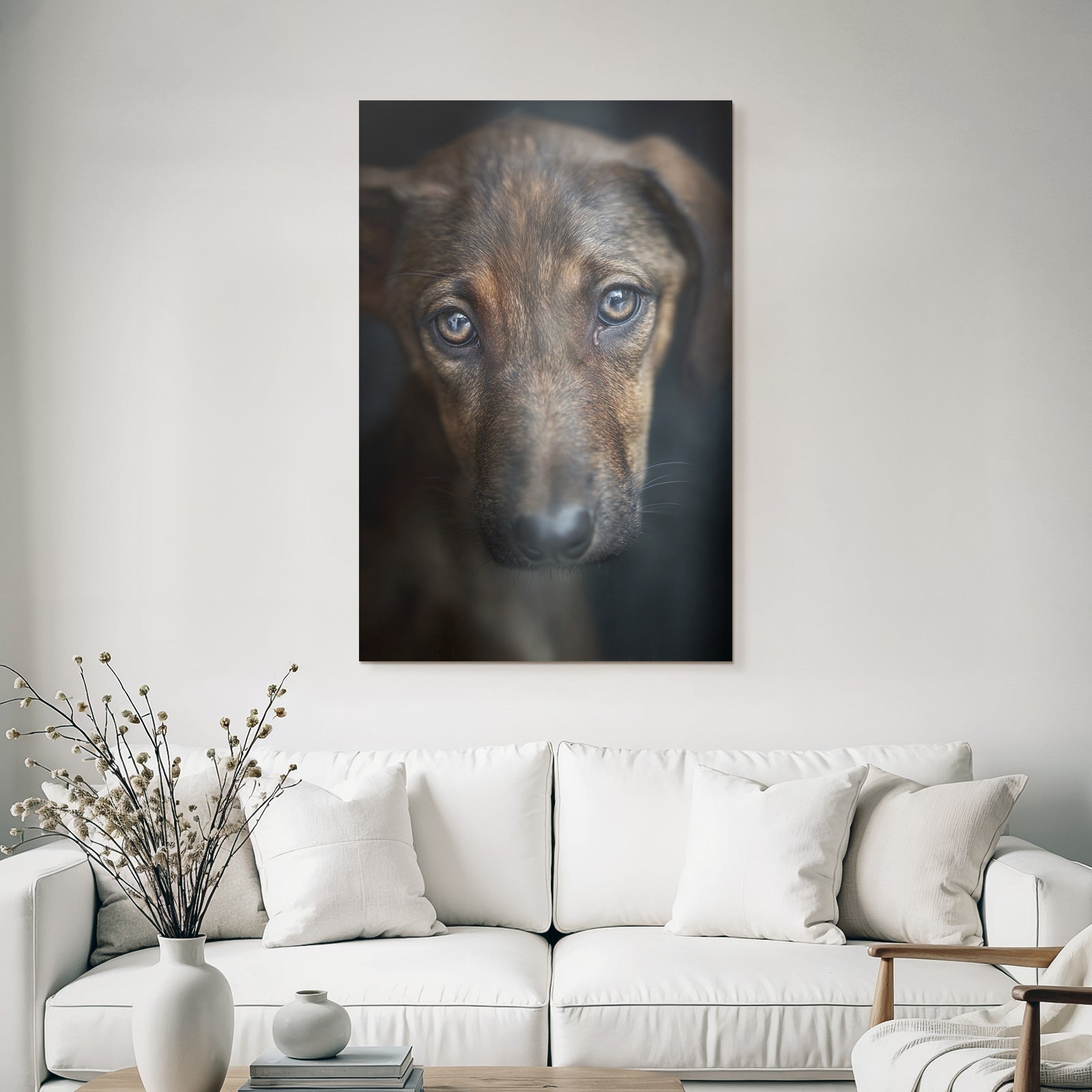 Hundegesicht Ausdrucksvolle Augen Braunes Fell