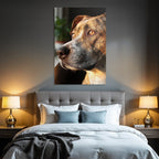 Hundegesicht Fellmuster Ausdrucksvolle Augen Warmes Licht Intime Mood
