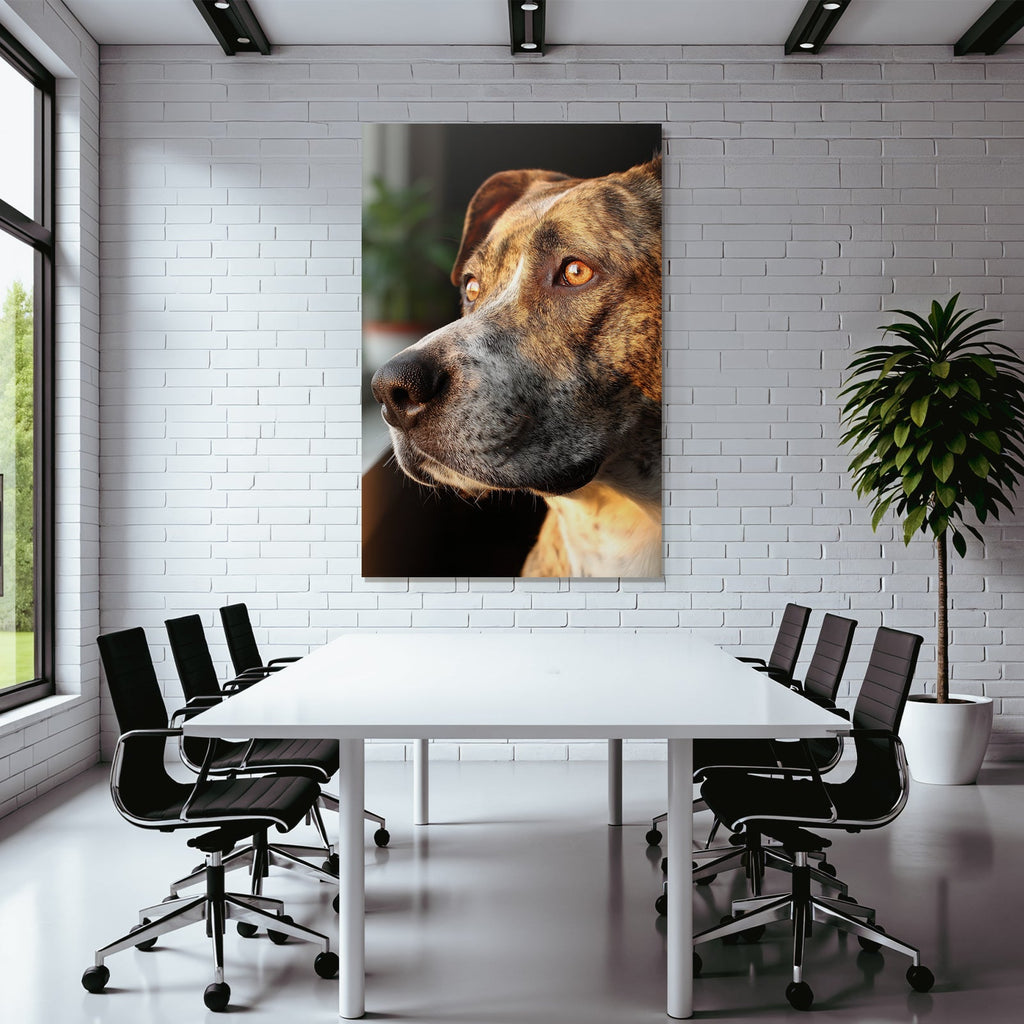 Hundegesicht Fellmuster Ausdrucksvolle Augen Warmes Licht Intime Mood