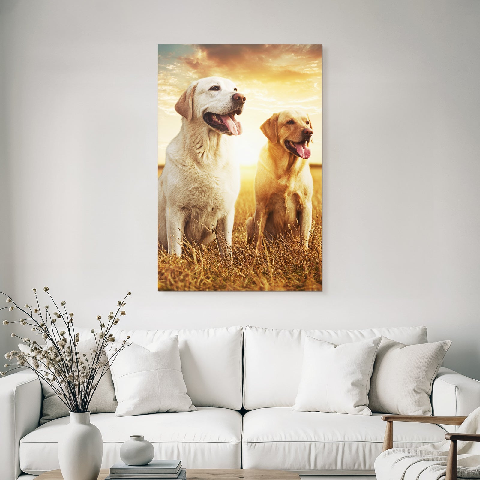 Labrador Retriever Im Feld Bei Sonnenuntergang