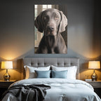 Realistisches Portrait Eines Hundes Mit Graufell Und Ausdrucksvollen Augen
