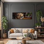 Hund Ausdrucksvolles Gesicht Mit Haarfaser In Cozy Innenraum