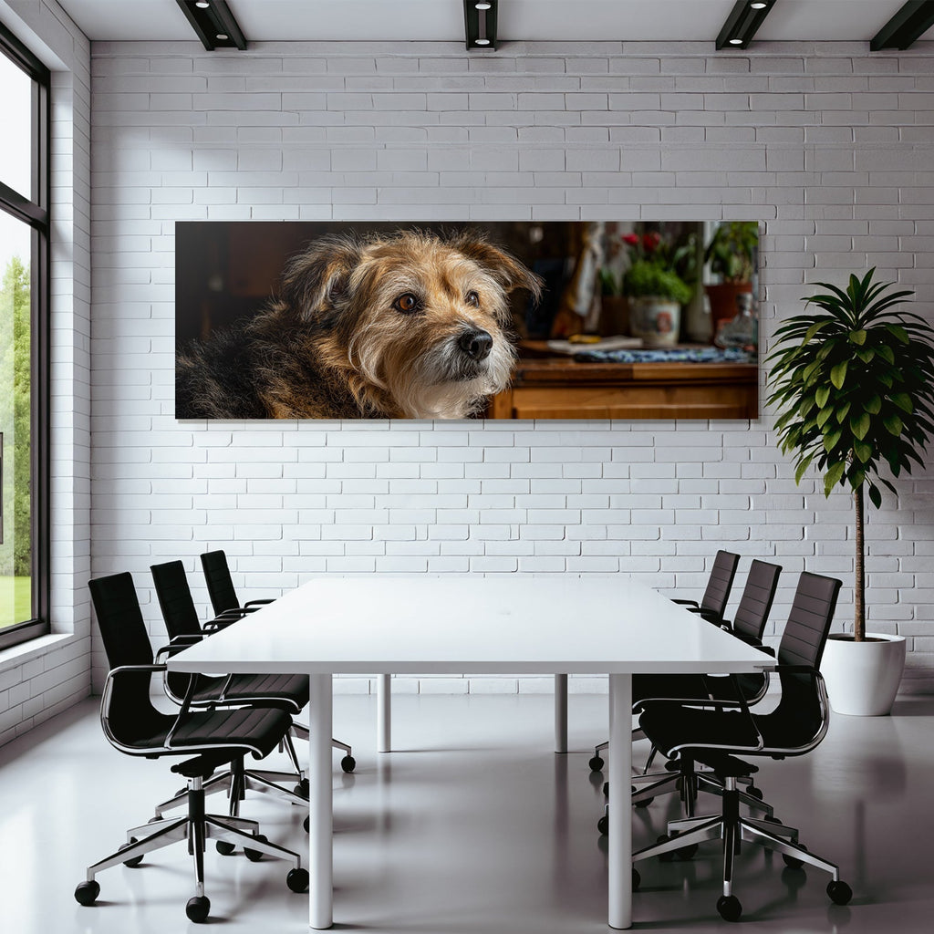 Hund Ausdrucksvolles Gesicht Mit Haarfaser In Cozy Innenraum