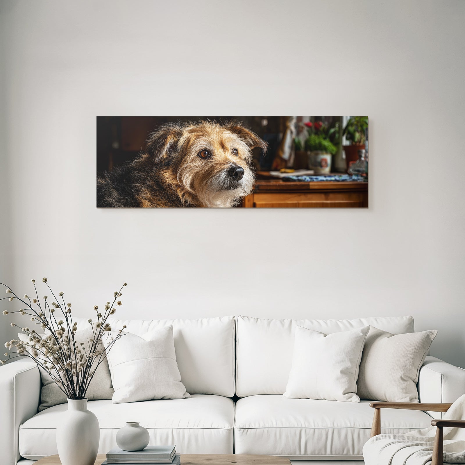 Hund Ausdrucksvolles Gesicht Mit Haarfaser In Cozy Innenraum