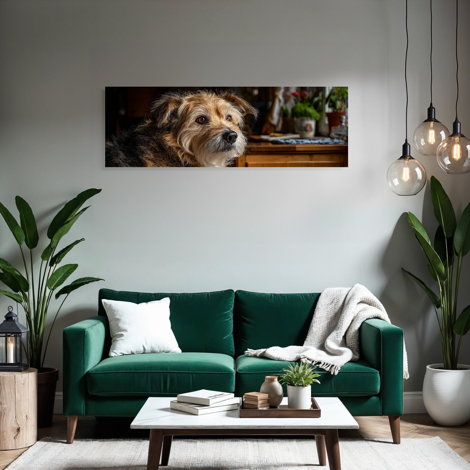 Hund Ausdrucksvolles Gesicht Mit Haarfaser In Cozy Innenraum