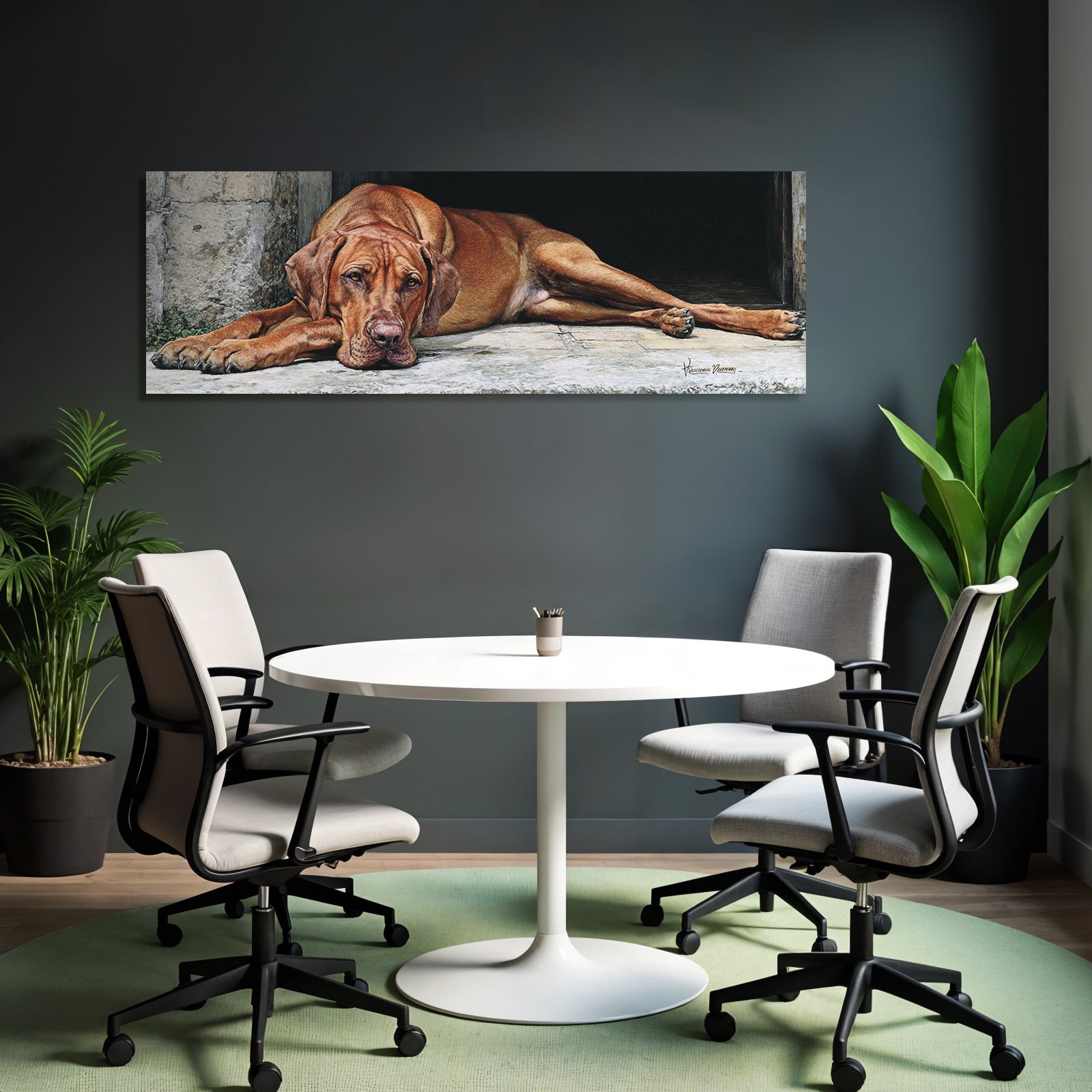 Hund Entspannt Am Stein Hintergrund