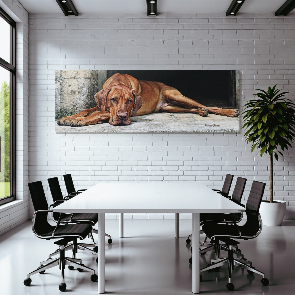Hund Entspannt Am Stein Hintergrund
