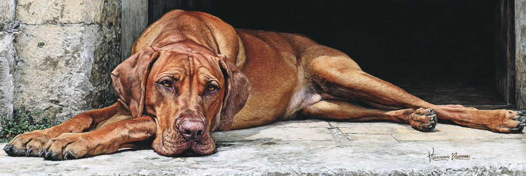 Hund Entspannt Am Stein Hintergrund | Katzen und Hunde | Tiere