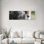 Hund Im Regenblick Von Draussen