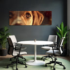 Hundegesicht Auge Und Nase Detailaufnahme
