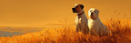 Im Feld Bei Sonnenuntergang | Katzen und Hunde | Tiere