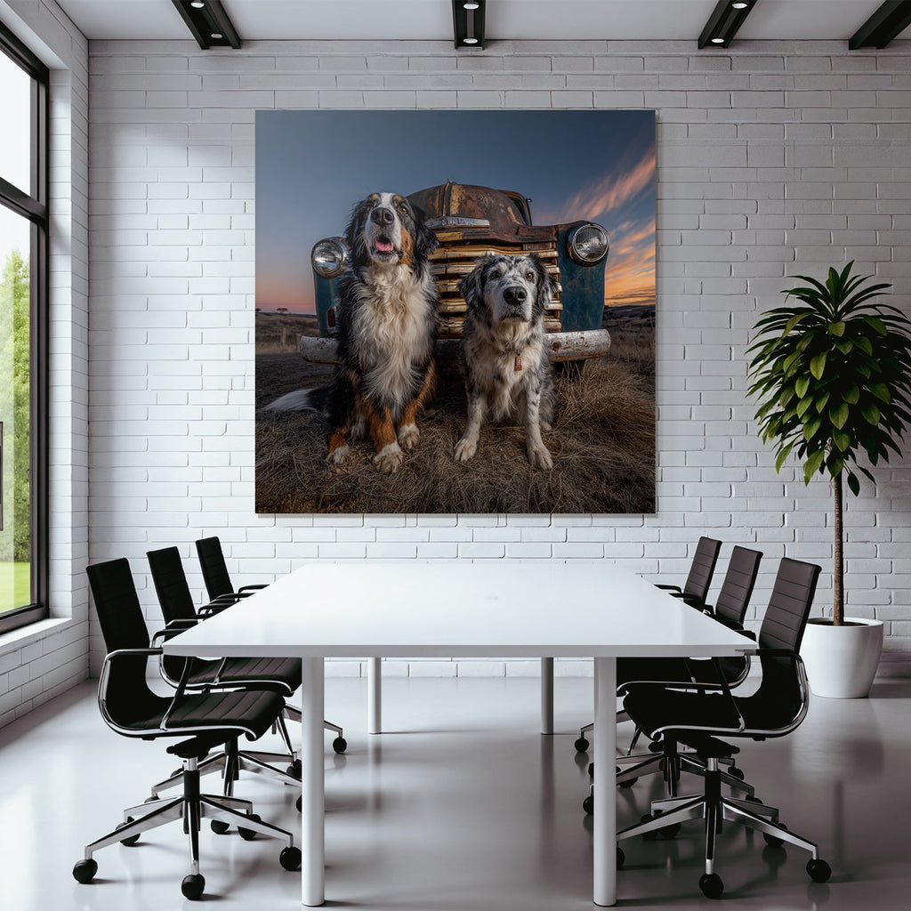 Bernese Mountain Dog Blü Merle Australian Shepherd Vintage Truck Sunset