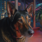 Hund Portrait In Innenstadt Mit Stadtlichtern | Katzen und Hunde | Tiere