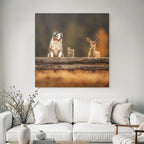 Hund Und Reh Am Holzzaun In Der Natur