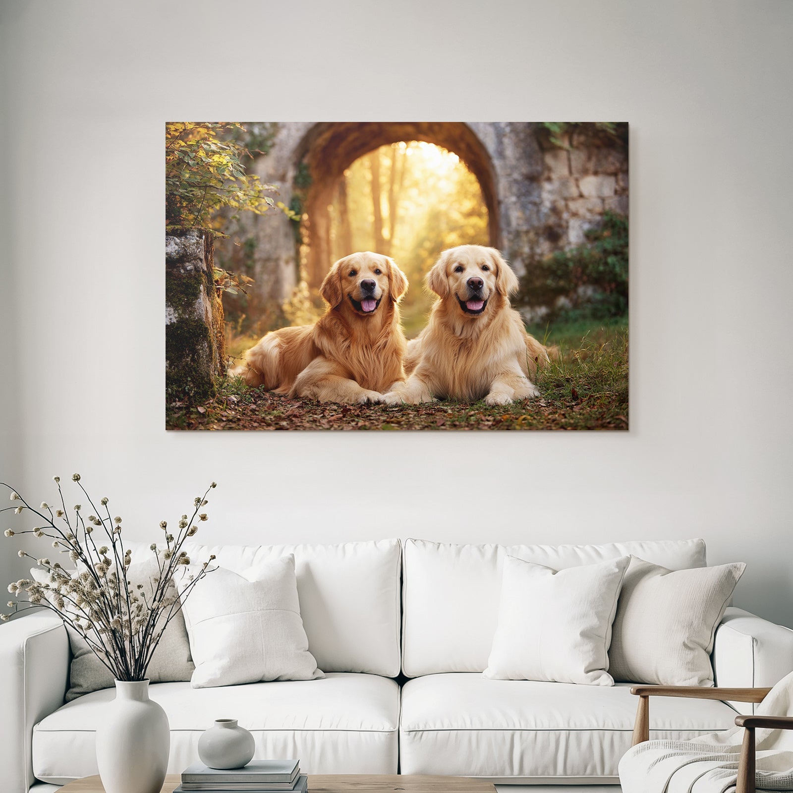 Golden Retriever Liegend Im Freien Sonntagslicht