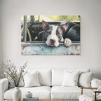 Hund Im Altem Auto Fenster Mit Natur Hintergrund