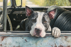 Hund Im Altem Auto Fenster Mit Natur Hintergrund | Katzen und Hunde | Tiere