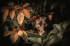 Hund In Der Natur Mit Blatt Und Beeren | Katzen und Hunde | Tiere