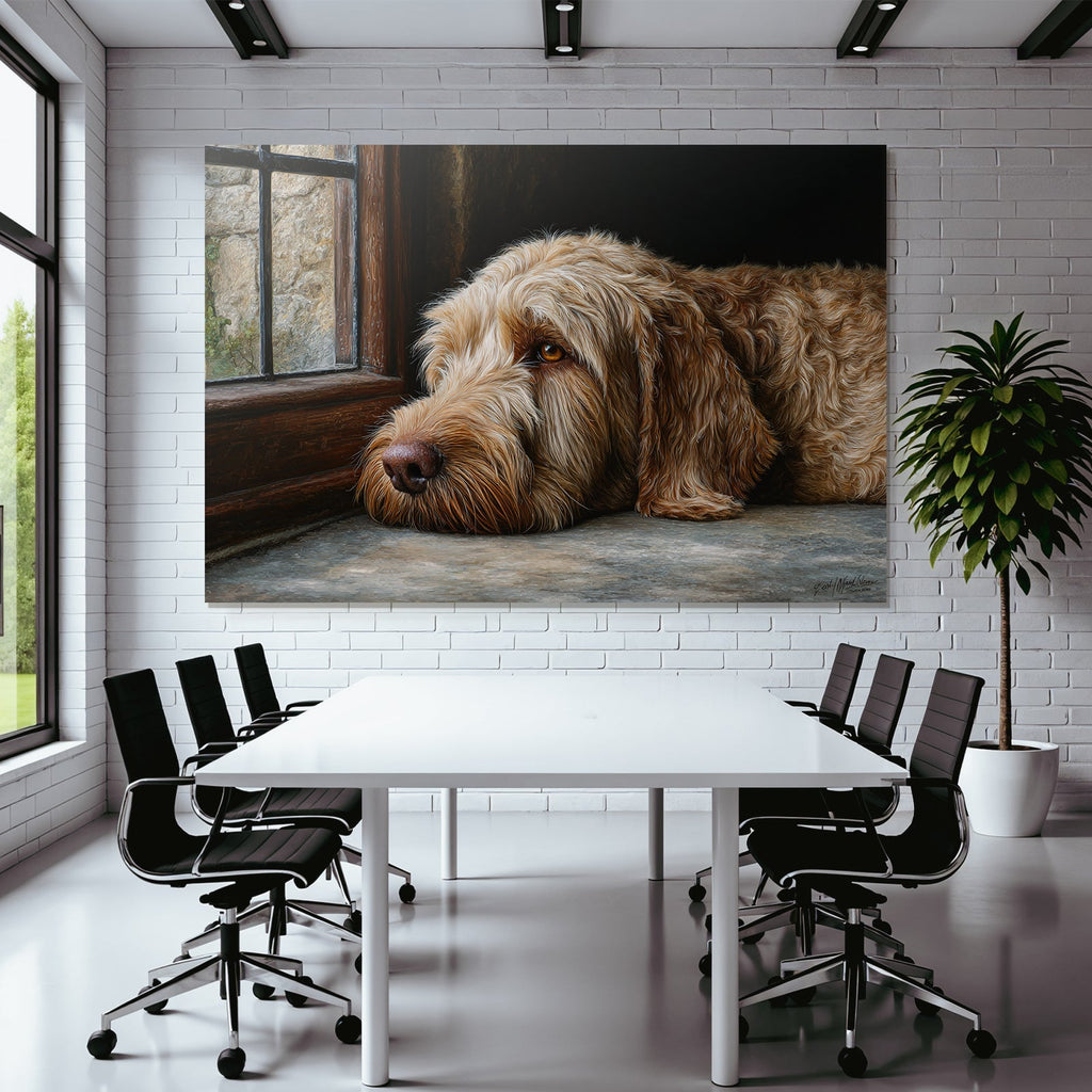 Hund In Der Sonne Ruhe Thoughtful Moment