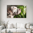 Hund Profil Ruhig Aufmerksam Mit Folien Grünem Hintergrund