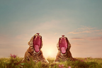 Leoparden Gähnen Im Gras Bei Sonnenuntergang | Katzen und Hunde | Tiere