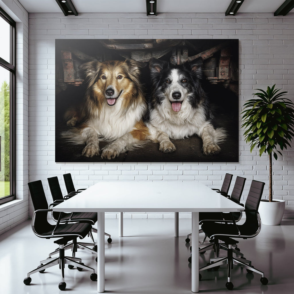 Unter Auto Gelb Brauner Hund Und Schwarz Weisser Hund