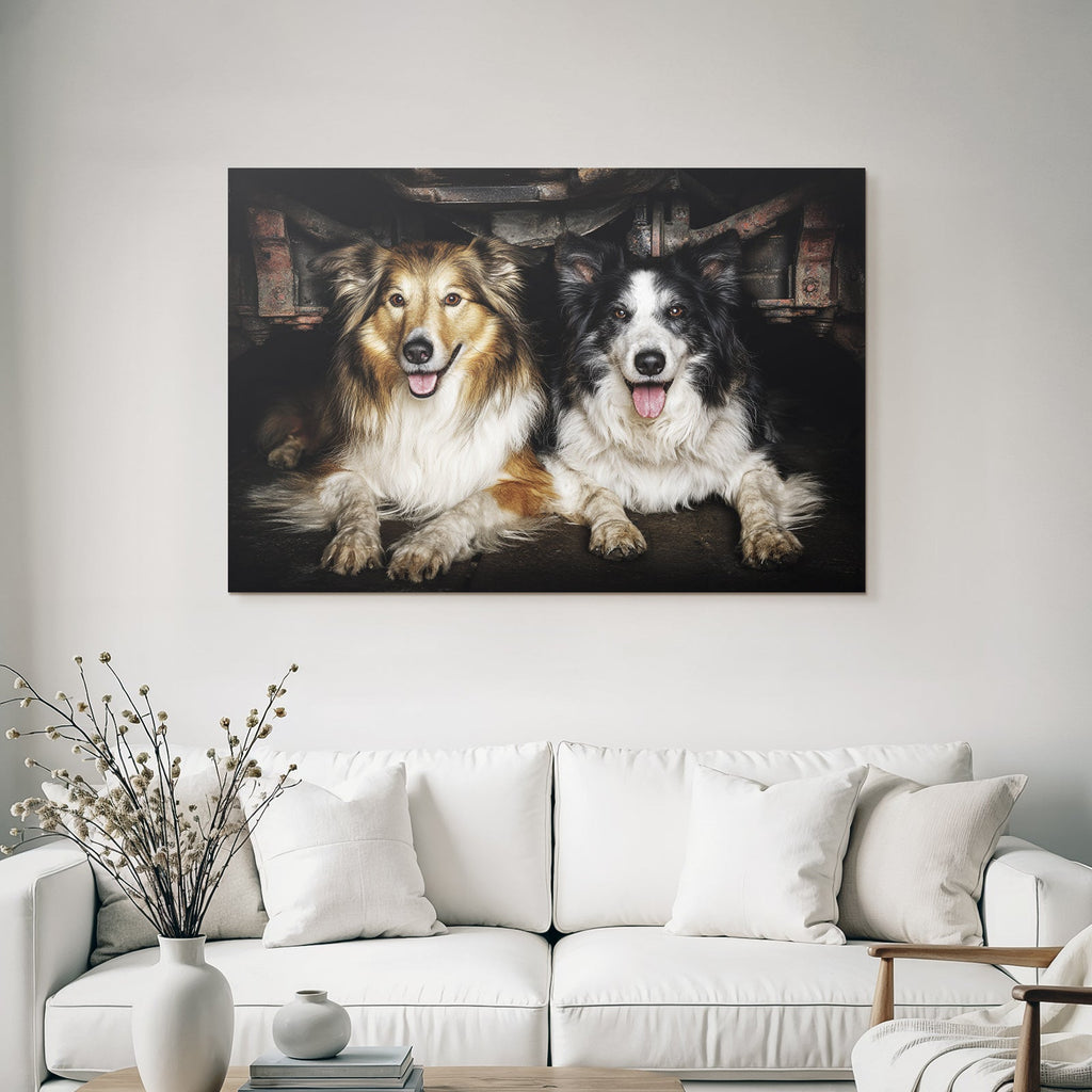 Unter Auto Gelb Brauner Hund Und Schwarz Weisser Hund