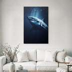 Meeres Grosser Haifisch Unterwasser Dramatisch