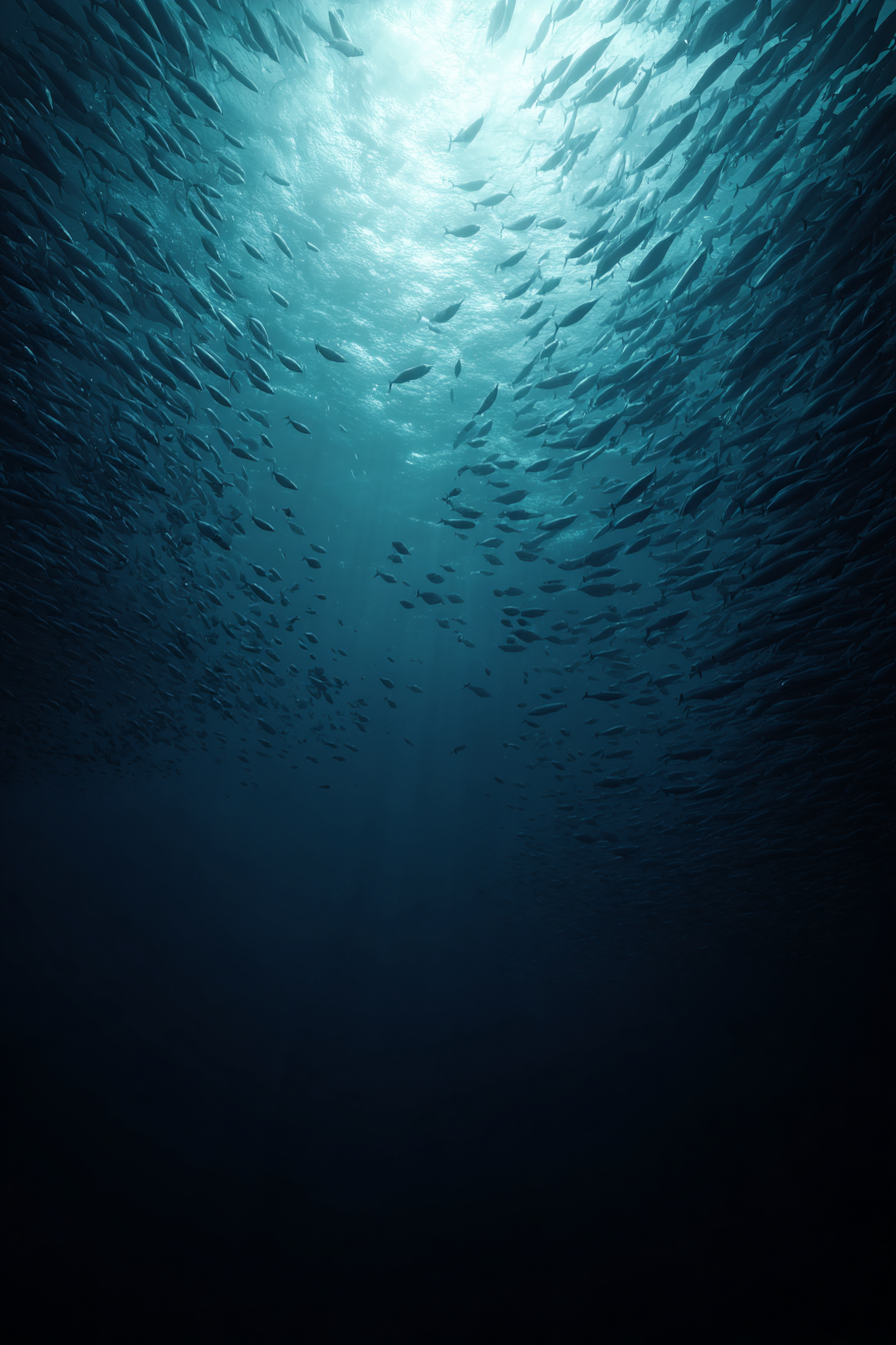 Meeres Unterwasser Szene Sonnenlicht Fischschwarm | Meerestiere | Tiere